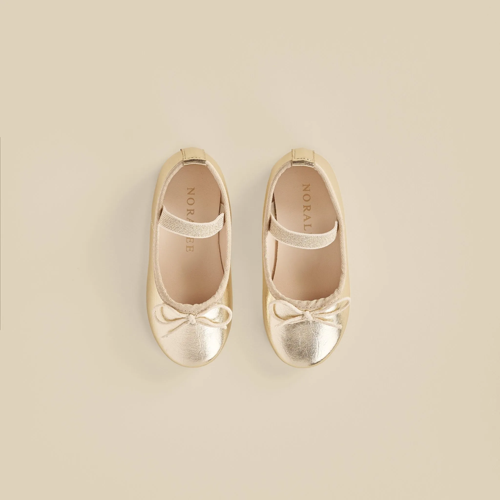 Noralee Ballet Flats in Metallic Ecru